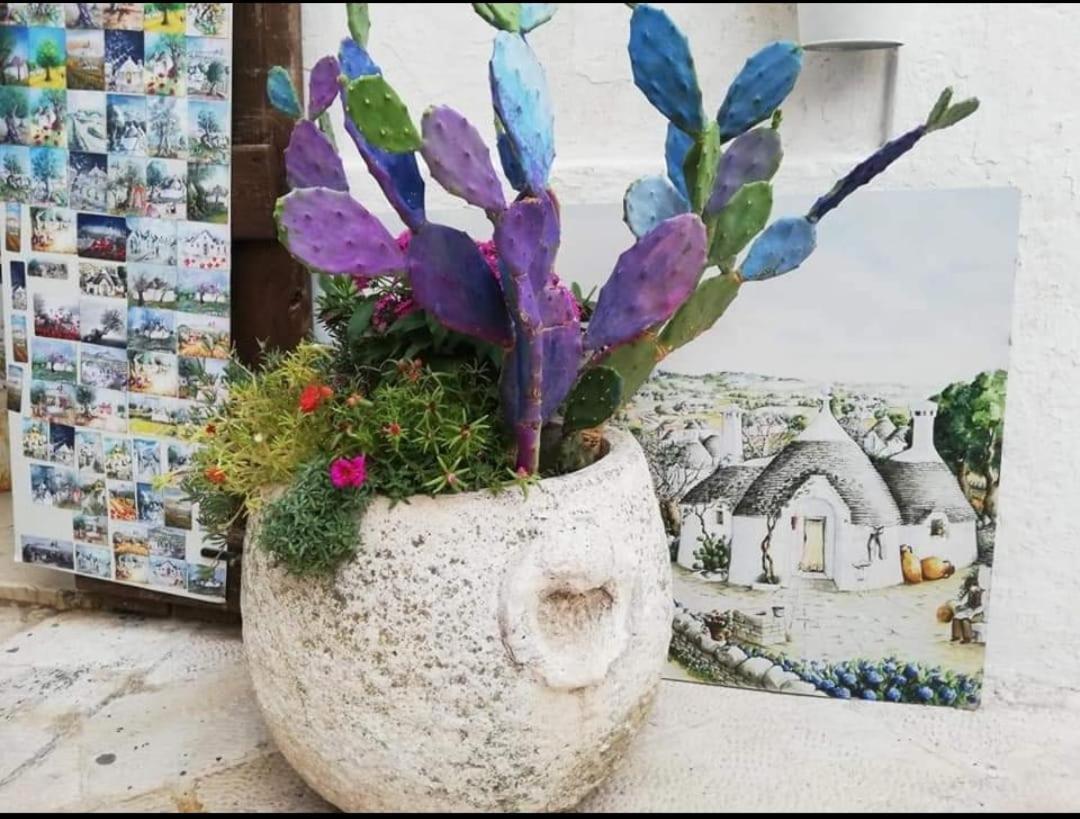 Casa Monna B&B Locorotondo Dış mekan fotoğraf